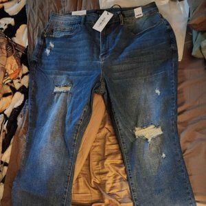 Judy Blue Color Pop High Waist Skinny Jeans 20W